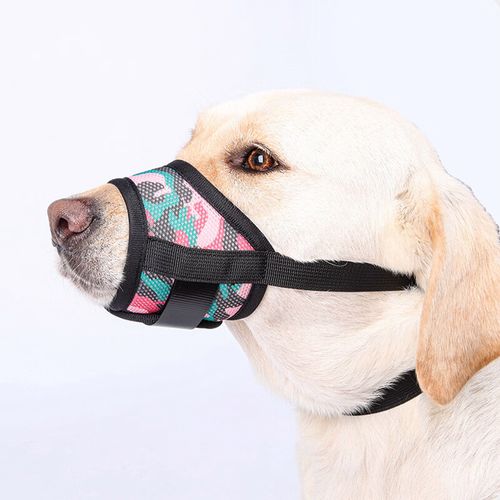 鴨 狗嘴套防咬防叫防誤食狗狗口罩透氣可喝水小中大型犬寵物止吠器